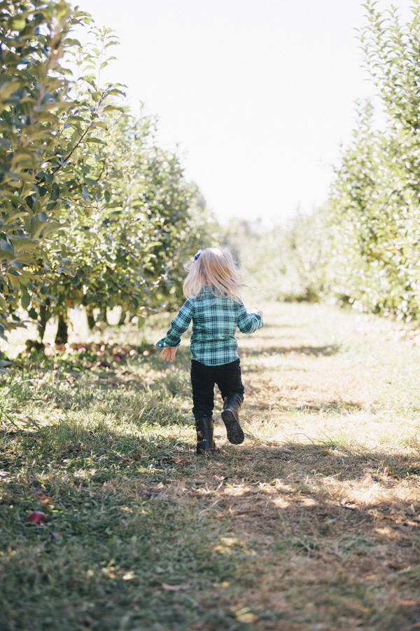 ApplePickin-1