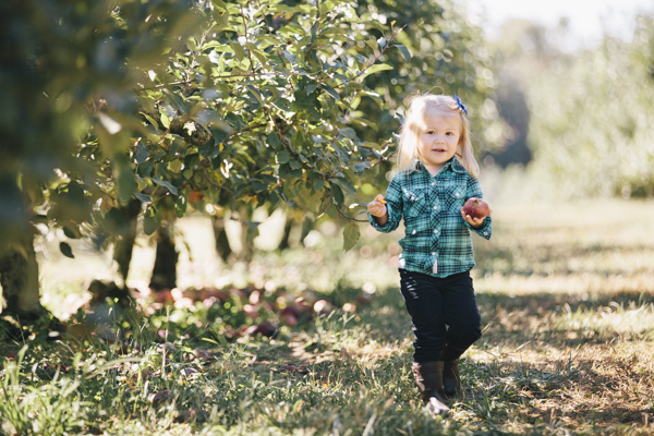 ApplePickin-2