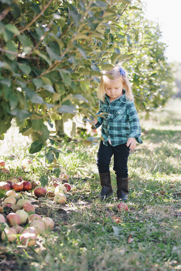 ApplePickin-3